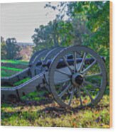 Cannons At Valley Forge Park Wood Print