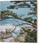 Cape Arago Scenic View Wood Print