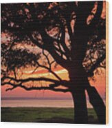Cape Fear Sunset Overlook Wood Print