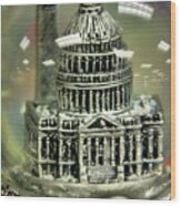 Capital Snow Globe Wood Print