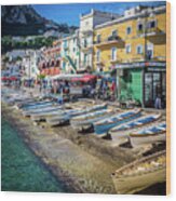 Capri Shore Wood Print