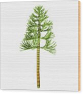 Carboniferous Pine Tree Wood Print