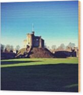 Cardiff Castle Wood Print