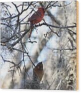 Cardinals In Mossy Tree Wood Print