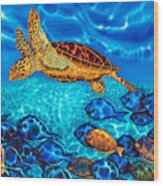 Caribbean Sea  Turtle And Reef  Fish Wood Print