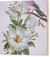 Carolina Chickadee And Magnolia Flower Wood Print