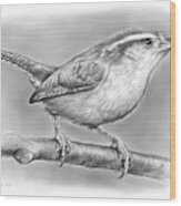 Carolina Wren Wood Print