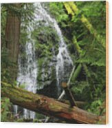 Cascade Falls - Orcas Island Wood Print