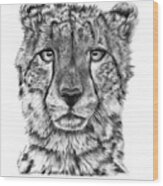Cassandra The Cheetah Wood Print