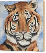 Cassie The Tiger Wood Print