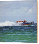 Cat Can Do 19 Power Boat Wood Print