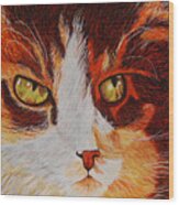 Cat Eye Wood Print