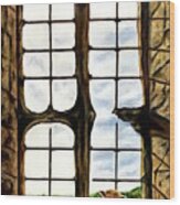 Cat In The Castle Window Wood Print