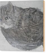 Cat Named Shrimp Wood Print