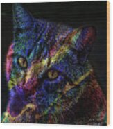 Cat Of Many Colors Wood Print