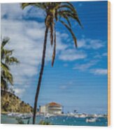 Catalina Casino And Palm Tree Wood Print