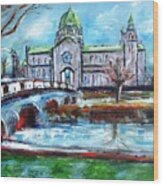Galway Cathedral - Paint Your Favorite Building Wood Print