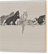 Cats On A Ledge Wood Print