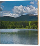 Catskill Mountain Panorama Wood Print