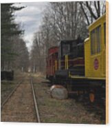 Catskill Mountain Railroad Wood Print