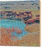 Cattails, Cattle And Sage Wood Print