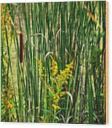 Cattails On The Pond Print Wood Print