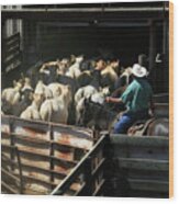 Cattles Auction Wood Print