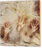Cave Of El Castillo Hands And Bison 2 Wood Print