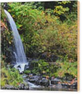 Cedar Creek Waterfall Wood Print