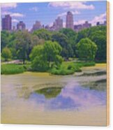 Central Park And Lake, Manhattan Ny Wood Print