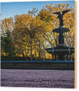 Central Park's Bethesda Fountain Wood Print