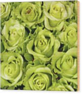 Chartreuse Colored Roses Wood Print