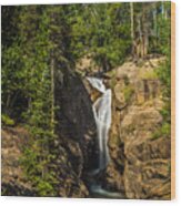 Chasm Falls Wood Print