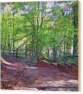Chattahoochee Nature Trail Wood Print