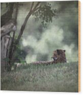 Cheetah On Watch Wood Print
