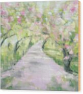 Cherry Blossom Bridle Path Central Park Wood Print