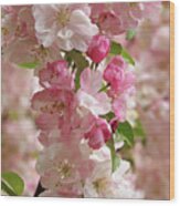 Cherry Blossom Closeup Vertical Wood Print