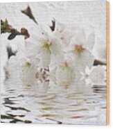 Cherry Blossom In Water Wood Print