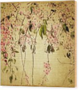 Cherry Blossom Wood Print