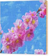 Cherry Blossom Pink - Impressions Of Spring Wood Print