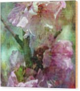 Cherry Blossoms 9309 Idp_2 Wood Print