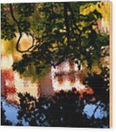 Chesky Reflection Wood Print