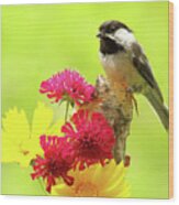 Chickadee Among Bright Flowers Wood Print