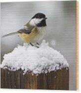 Chickadee In The Snow Wood Print