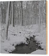 Chilly Creek Wood Print