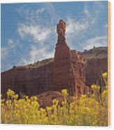 Chimney Rock Capital Reef Wood Print