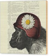 Chimpanzee With Helmet Daisy Flower Dictionary Art Wood Print