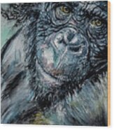 Chimpanzee Wood Print