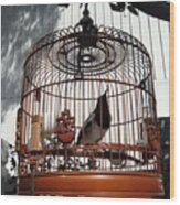 China Bird In Mahogany Cage Wood Print