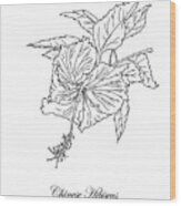 Chinese Hibiscus. Botanical Wood Print